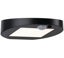 Настенный светильник уличный Wegeleuchte Ryse 94246 Paulmann