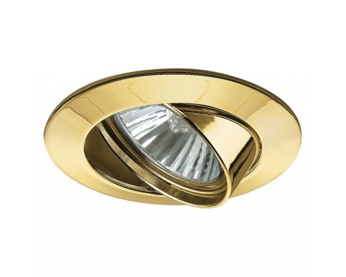 Точечный светильник Downlights Premium 98949 Paulmann