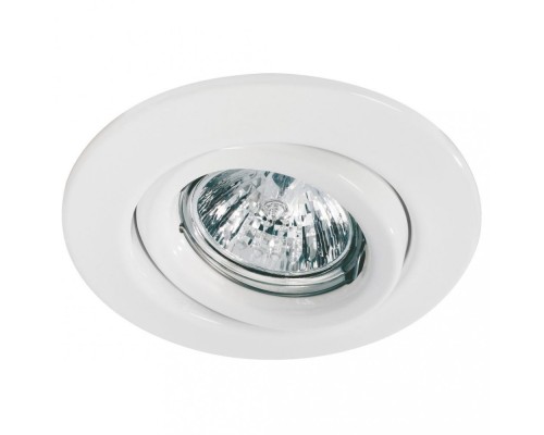 Точечный светильник Quality Line 98977 Paulmann