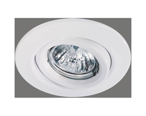 Точечный светильник Quality Line 98983 Paulmann