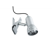 Спот  99825 Paulmann