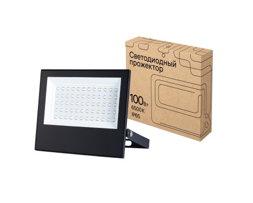 Прожектор уличный  52825 8 REV