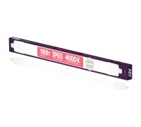 Настенно-потолочный светильник  56010 4 REV