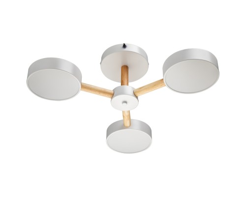 Потолочная люстра Scandia 51589 4 Ritter