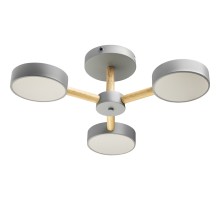 Потолочная люстра Scandia 51590 0 Ritter