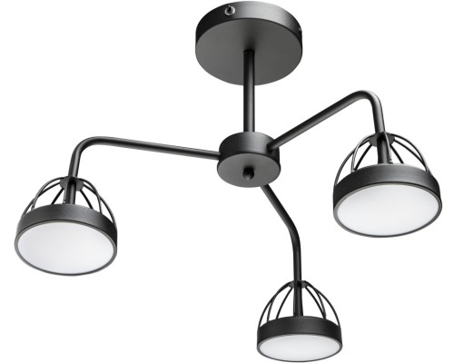 Потолочная люстра Mattino 51593 1 Ritter