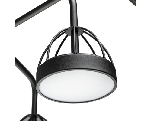 Потолочная люстра Mattino 51593 1 Ritter