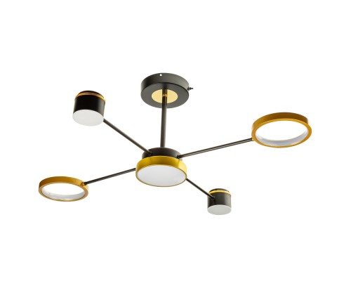 Потолочная люстра Notte 51595 5 Ritter