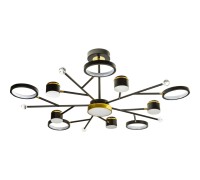 Потолочная люстра Notte 51596 2 Ritter