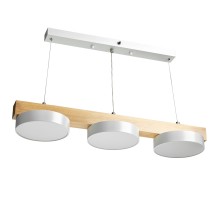 Подвесной светильник Racemo 51607 5 Ritter