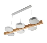 Подвесной светильник Racemo 51608 2 Ritter