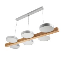 Подвесной светильник Racemo 51608 2 Ritter