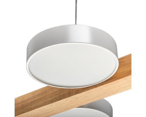 Подвесной светильник Racemo 51608 2 Ritter