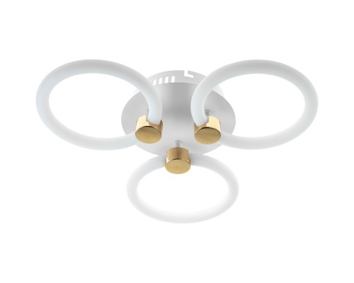 Потолочная люстра Ottimo 51611 2 Ritter