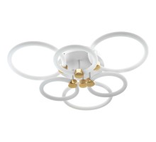 Потолочная люстра Ottimo 51613 6 Ritter