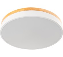 Настенно-потолочный светильник Snello 51623 5 Ritter