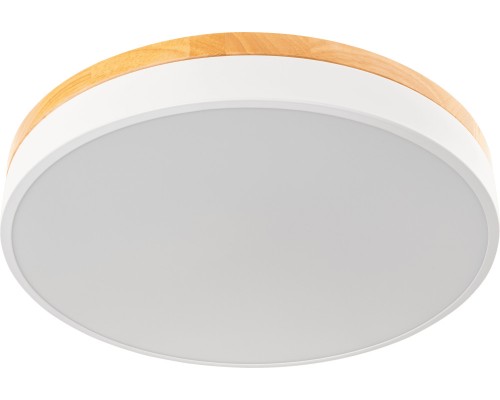 Настенно-потолочный светильник Snello 51623 5 Ritter