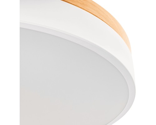 Настенно-потолочный светильник Snello 51623 5 Ritter