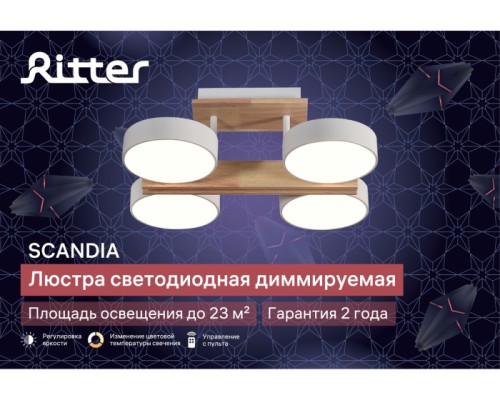 Потолочная люстра Scandia 51626 6 Ritter