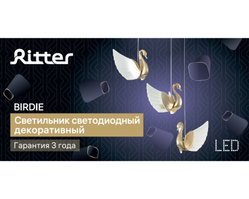 Подвесной светильник Birdie 51637 2 Ritter