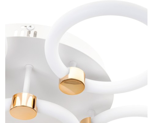 Потолочная люстра Ottimo 51639 6 Ritter