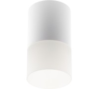 Точечный светильник Essen 52059 7 Ritter