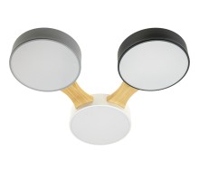 Потолочный светильник Scandia 52070 2 Ritter