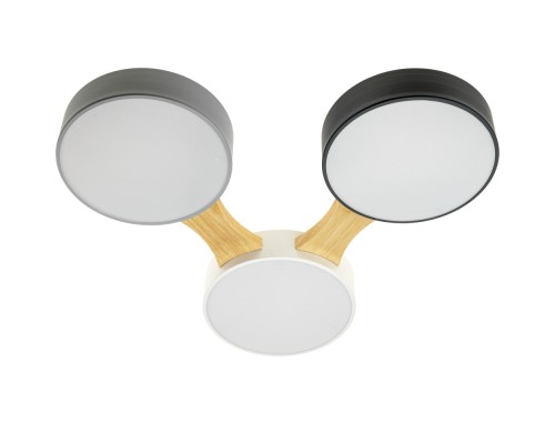 Потолочный светильник Scandia 52070 2 Ritter