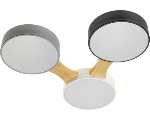 Потолочный светильник Scandia 52070 2 Ritter