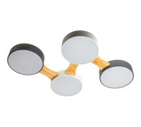 Потолочный светильник Scandia 52071 9 Ritter