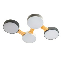 Потолочный светильник Scandia 52071 9 Ritter