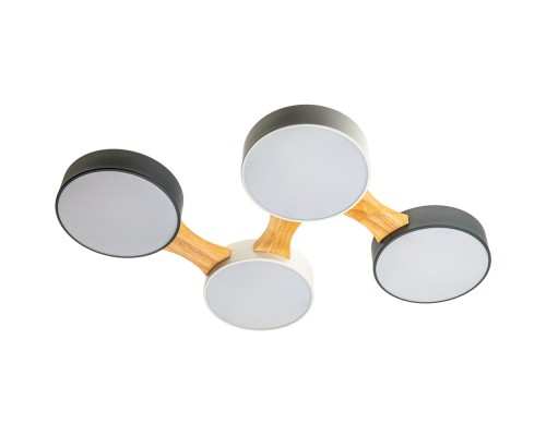 Потолочный светильник Scandia 52071 9 Ritter