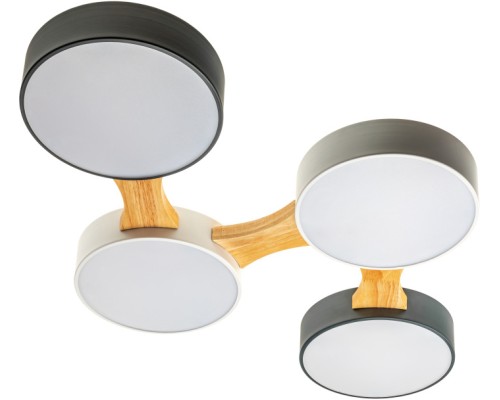 Потолочный светильник Scandia 52071 9 Ritter