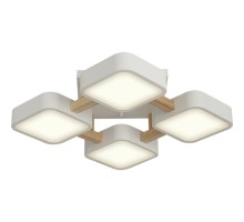 Потолочный светильник Scandia 52072 6 Ritter