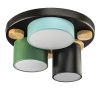 Потолочный светильник Scandia 52074 0 Ritter