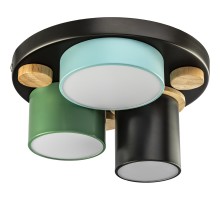 Потолочный светильник Scandia 52074 0 Ritter