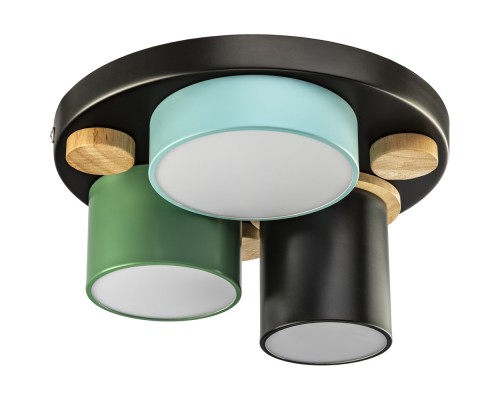 Потолочный светильник Scandia 52074 0 Ritter