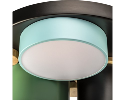 Потолочный светильник Scandia 52074 0 Ritter