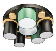 Потолочный светильник Scandia 52075 7 Ritter