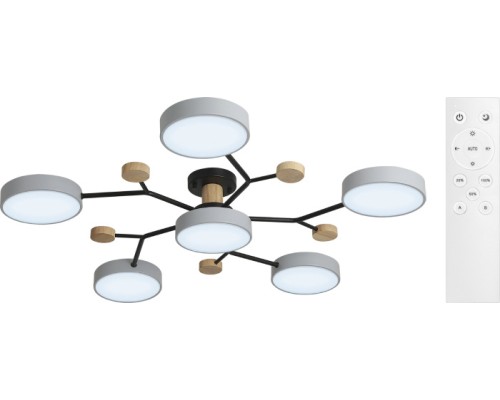 Потолочная люстра Scandia 52079 5 Ritter