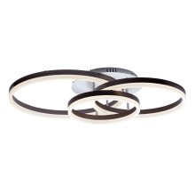 Потолочная люстра Eclipse 52083 6 Ritter