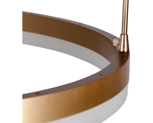 Подвесной светильник Rivo 52091 1 Ritter