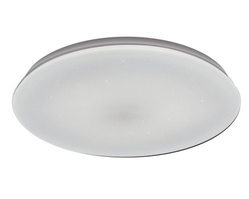 Настенно-потолочный светильник Stardust 52188 4 Ritter