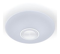 Настенно-потолочный светильник Dance 52340 6 Ritter