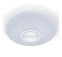 Настенно-потолочный светильник Dance 52340 6 Ritter