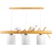 Подвесной светильник Birdie 52440 3 Ritter
