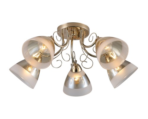 Потолочная люстра Modena 52546 2 Ritter