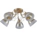 Потолочная люстра Modena 52546 2 Ritter