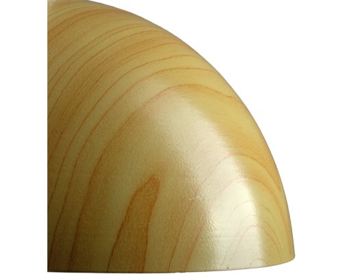 Подвесной светильник Half-Ball 52639 1 Ritter