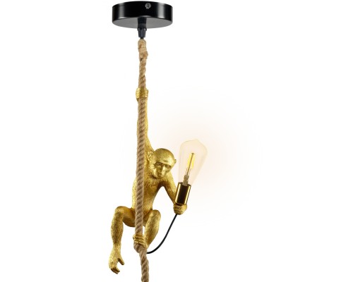 Подвесной светильник Monkey 52650 6 Ritter